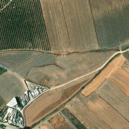 Satellite imagery of survey_point, DZ