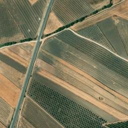 Satellite imagery of survey_point, DZ