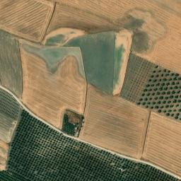 Satellite imagery of survey_point, DZ