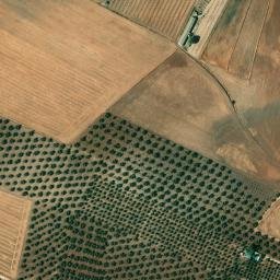 Satellite imagery of survey_point, DZ