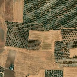 Satellite imagery of survey_point, DZ