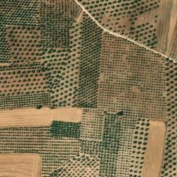 Satellite imagery of survey_point, DZ
