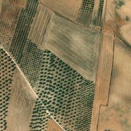 Satellite imagery of survey_point, DZ