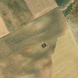 Satellite imagery of survey_point, DZ