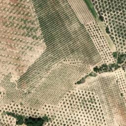 Satellite imagery of survey_point, DZ