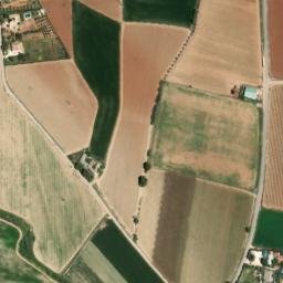Satellite imagery of survey_point, DZ