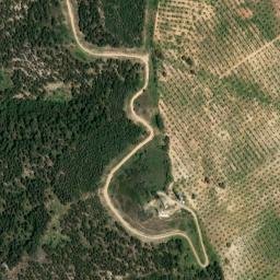 Satellite imagery of survey_point, DZ