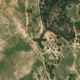Satellite imagery of survey_point, DZ