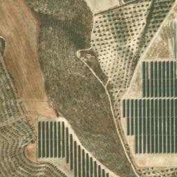 Satellite imagery of survey_point, DZ