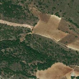 Satellite imagery of survey_point, DZ