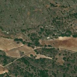 Satellite imagery of survey_point, DZ