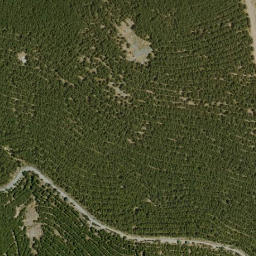 Satellite imagery of survey_point, DZ