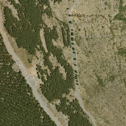 Satellite imagery of survey_point, DZ