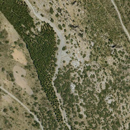 Satellite imagery of survey_point, DZ