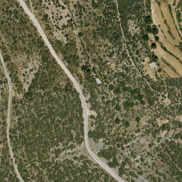 Satellite imagery of survey_point, DZ