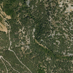 Satellite imagery of survey_point, DZ