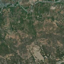 Satellite imagery of survey_point, DZ