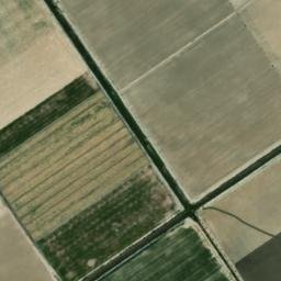 Satellite imagery of survey_point, DZ