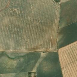 Satellite imagery of survey_point, DZ