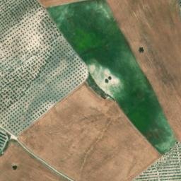 Satellite imagery of survey_point, DZ