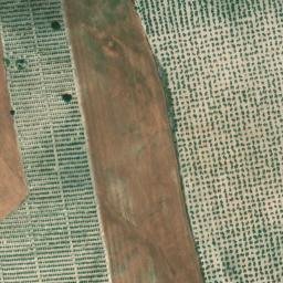 Satellite imagery of survey_point, DZ