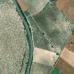 Satellite imagery of survey_point, DZ