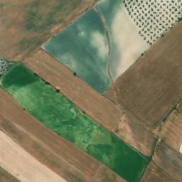 Satellite imagery of survey_point, DZ