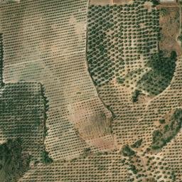 Satellite imagery of survey_point, DZ