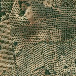 Satellite imagery of survey_point, DZ
