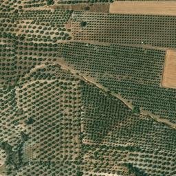 Satellite imagery of survey_point, DZ