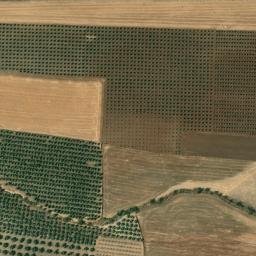 Satellite imagery of survey_point, DZ
