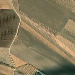 Satellite imagery of survey_point, DZ