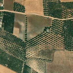 Satellite imagery of survey_point, DZ
