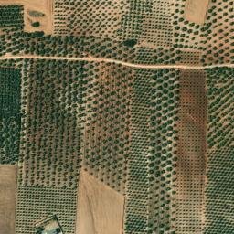 Satellite imagery of survey_point, DZ