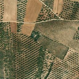 Satellite imagery of survey_point, DZ