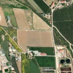 Satellite imagery of survey_point, DZ