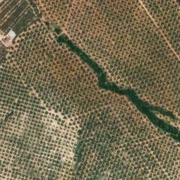 Satellite imagery of survey_point, DZ