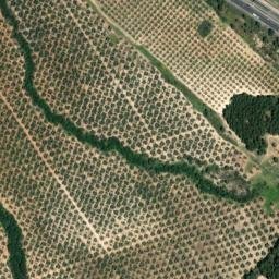 Satellite imagery of survey_point, DZ