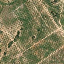 Satellite imagery of survey_point, DZ