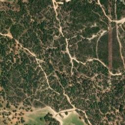 Satellite imagery of survey_point, DZ
