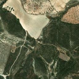 Satellite imagery of survey_point, DZ