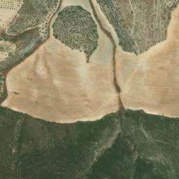 Satellite imagery of survey_point, DZ