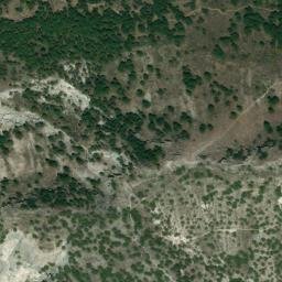Satellite imagery of survey_point, DZ