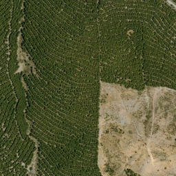 Satellite imagery of survey_point, DZ