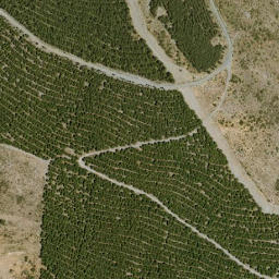 Satellite imagery of survey_point, DZ