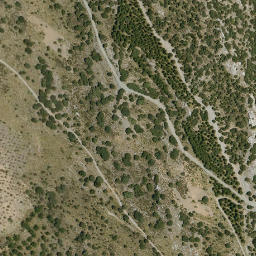 Satellite imagery of survey_point, DZ