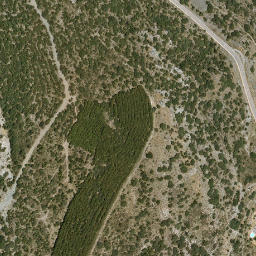 Satellite imagery of survey_point, DZ