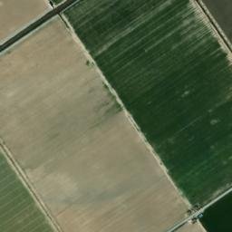 Satellite imagery of survey_point, DZ