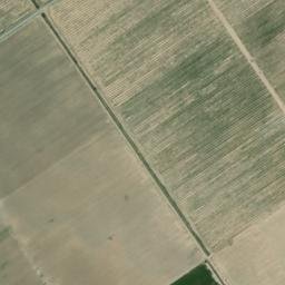 Satellite imagery of survey_point, DZ