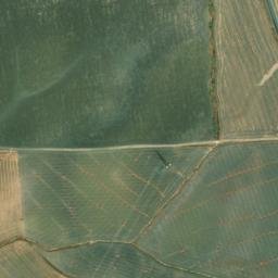 Satellite imagery of survey_point, DZ